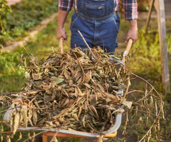 Garden Cleaning