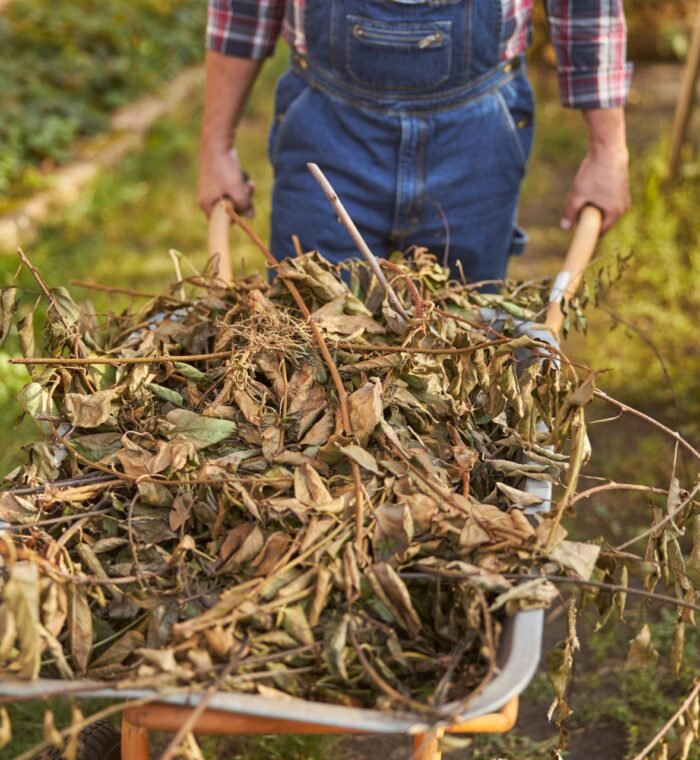 Garden Cleaning