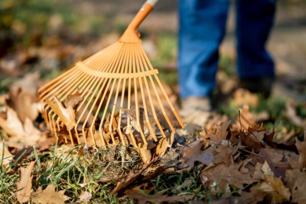 Tradie Taskforce - cleaning up leaves