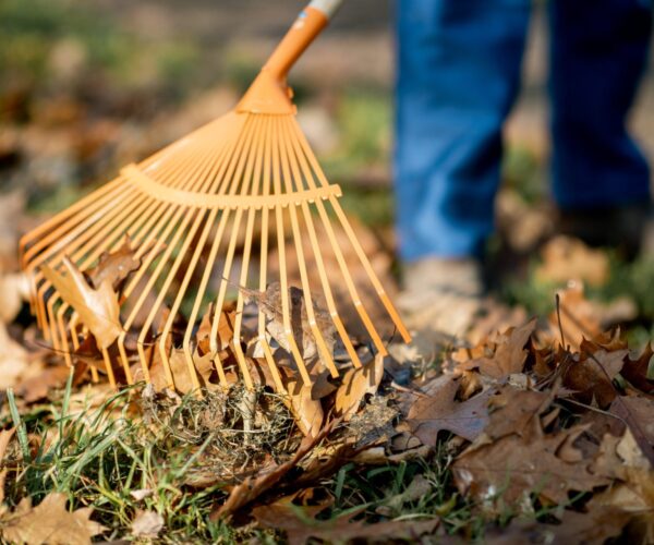 Tradie Taskforce - cleaning up leaves